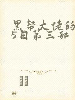 黑帮大佬的365日第三部
