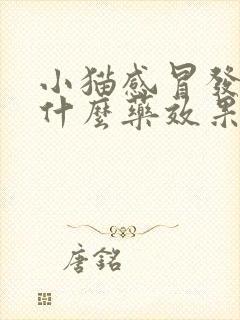 小猫感冒发烧吃什么药效果好