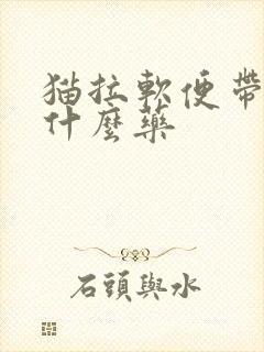 猫拉软便带血吃什么药