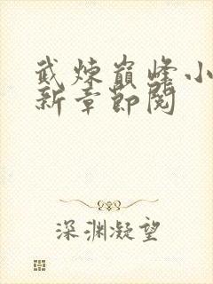 武炼巅峰小说最新章节阅