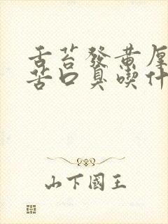 舌苔发黄厚腻口苦口臭吃什么药效果好