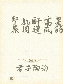 肾肌酐高是什么原因造成的严重吗