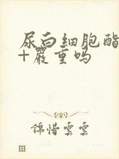 尿白细胞酯酶1+严重吗