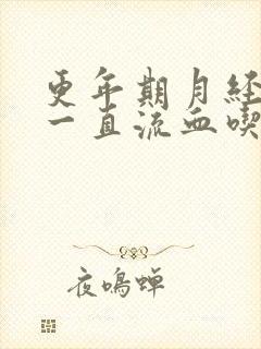 更年期月经不停一直流血吃什么药