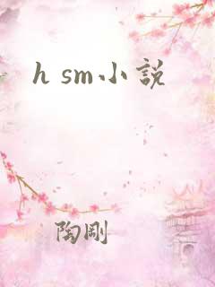 h sm小说