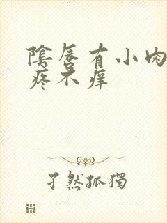 阴唇有小肉芽不疼不痒