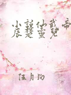 小说仙武帝尊叶辰楚灵儿