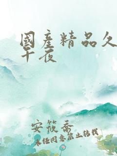 国产精品久久久午夜