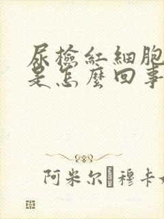 尿检红细胞阳性是怎么回事