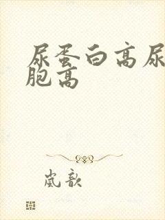 尿蛋白高尿白细胞高