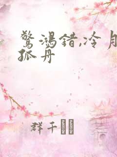 惊鸿错,冷月照孤舟