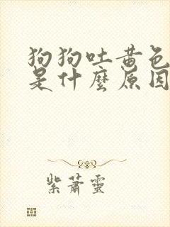 狗狗吐黄色泡沫是什么原因怎么办