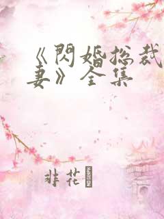 《闪婚总裁契约妻》全集
