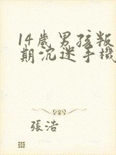 14岁男孩叛逆期沉迷手机怎么管教