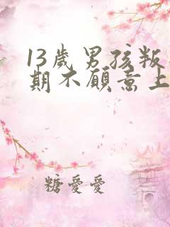 13岁男孩叛逆期不愿意上学怎么办