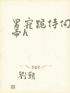 男宠跪侍伺候皇帝h