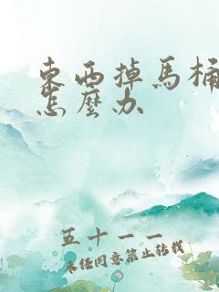 东西掉马桶里了怎么办