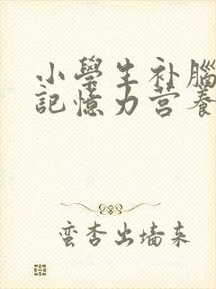 小学生补脑增强记忆力营养品