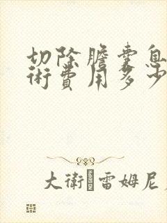 切除胆囊息肉手术费用多少钱