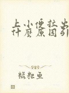 上小便拉出血是什么原因引起的