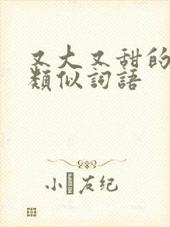 又大又甜的西瓜类似词语