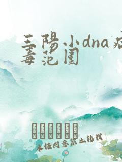 三阳小dna病毒范围