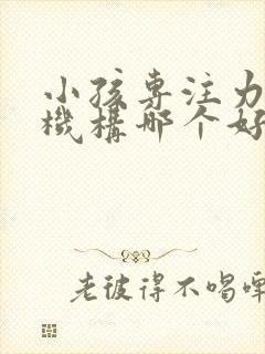 小孩专注力培训机构哪个好