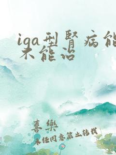 iga型肾病能不能治