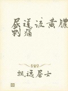 尿道流黄脓有点刺痛