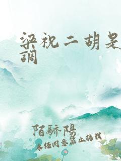 梁祝二胡是什么调