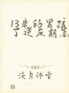 13岁的男孩到了逆反期怎么教