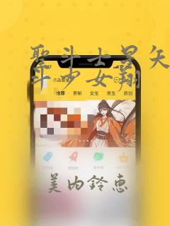 圣斗士星矢 圣斗少女翔：结局+番外