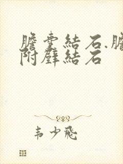 胆囊结石.胆囊附壁结石