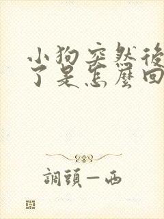 小狗突然后腿瘸了是怎么回事