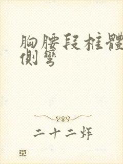 胸腰段椎体轻度侧弯