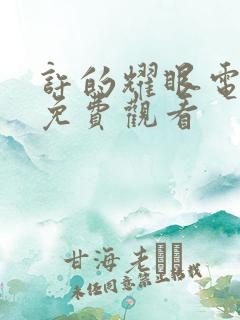 许的耀眼电视剧免费观看