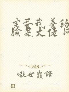 完蛋我养的小白脸是大佬 网盘