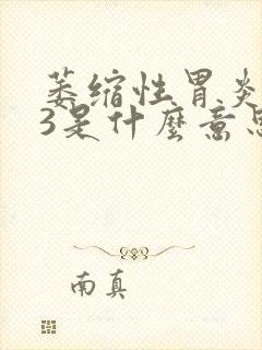 萎缩性胃炎c一3是什么意思