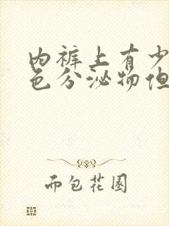 内裤上有少量褐色分泌物但没来月经