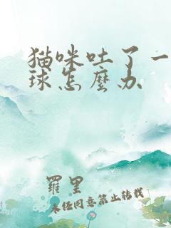 猫咪吐了一坨毛球怎么办