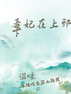 毒妃在上邪王在下