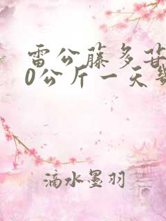 雷公藤多苷片60公斤一天几粒
