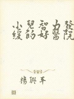 小儿智力发育迟缓的好医院