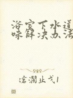 浴室下水道反臭味解决办法