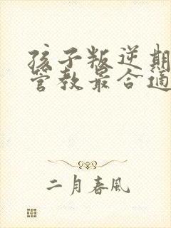 孩子叛逆期怎么管教最合适男孩沉迷游戏