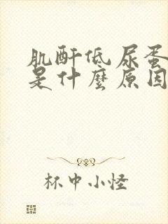 肌酐低尿蛋白高是什么原因造成的