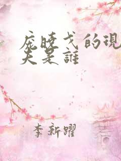 庞晓戈的现任丈夫是谁