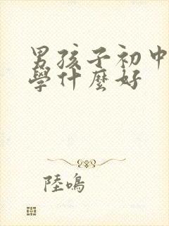 男孩子初中毕业学什么好