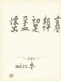 怀孕初期有轻微出血是什么情况?