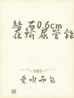 结石0.6cm在输尿管能自己出来吗